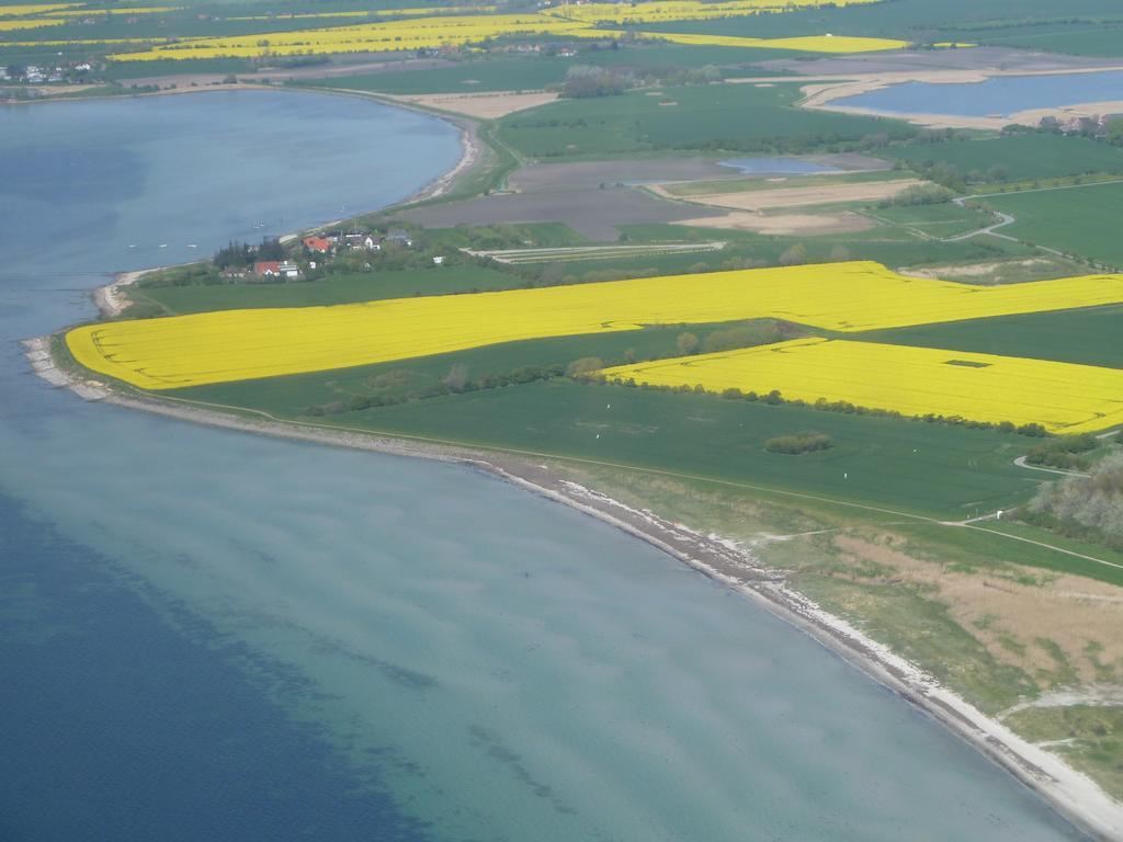 Haus Achtern Diek In Erster Reihe Am Meer Femern Eksteriør billede